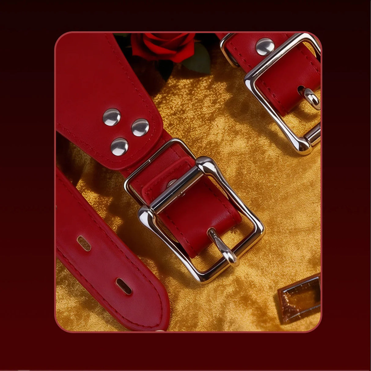 Dominion Premium Chastity Cage Harness