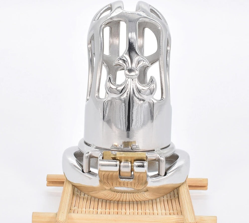 Daybreak Stainless Steel Chastity Cage USA ONLY - OVERSTOCK