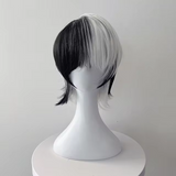 DualTone Synthetic Wig