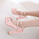 High Heel Mary Jane Lace Princess Shoes