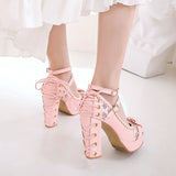 High Heel Mary Jane Lace Princess Shoes