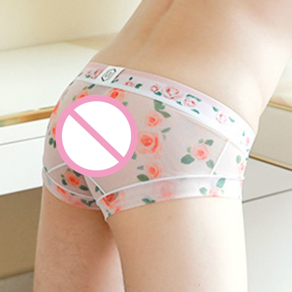 Ultra-thin Transparent Mesh Low-waist Panties