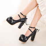 High Heel Mary Jane Lace Princess Shoes