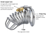 Iron Desire Chastity Cage