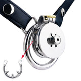 Eternal Sovereign Stainless Steel Chastity Cage