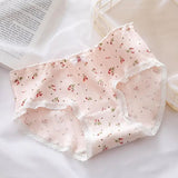 Sissy Elastic Ruffle Bowknot Panties