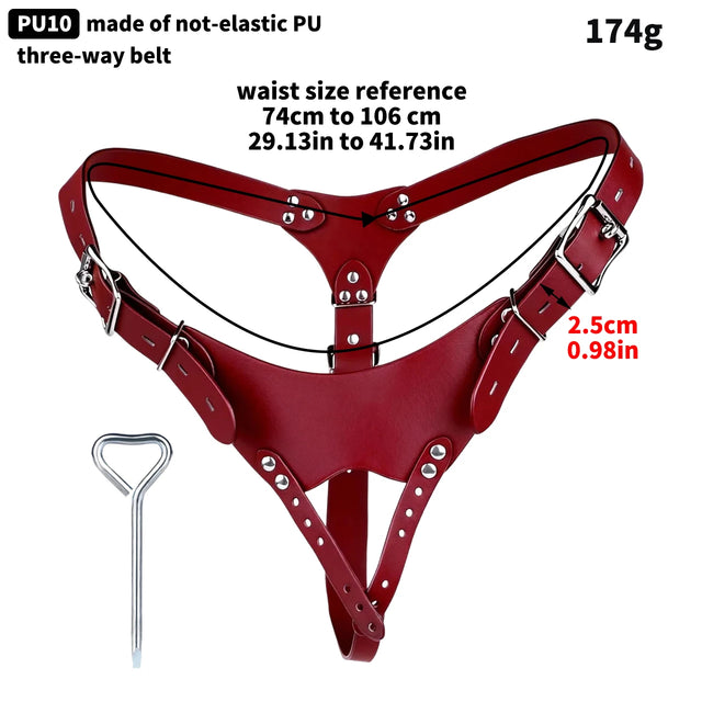 Dominion Premium Chastity Cage Harness