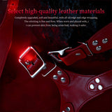 Dominion Premium Chastity Cage Harness
