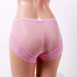 Lace Breathable Transparent Panties