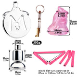 Flirty Fusion SS Chastity Cage + Mystic Vortex Dildo