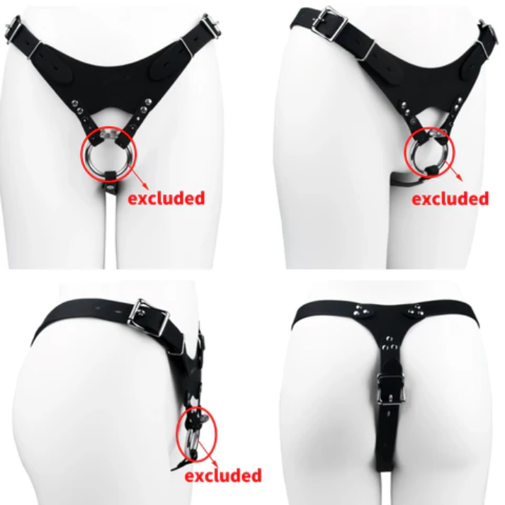 Dominion Premium Chastity Cage Harness