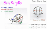 Skylight Stainless Steel Chastity Cage