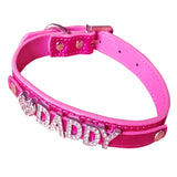 Daddy Dom DDLG/ABDL Leather Collar