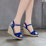 Ankle Strap Sandal Wedge Heels