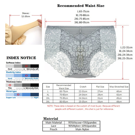 Luxury Sexy Men's Underwear Breathable Lace Men Briefs Transparent Large Size U-Shaped Pouch Gay Underwear Shorts