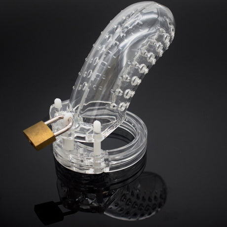 Bird cock Cage Chastity Device CB6000 plastic with 5 rings slave BDSM bondage penis lock restraint male sex toys for men