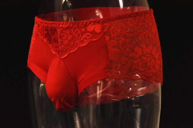 Lace Transparent U Pouch Sexy Sissy Panties