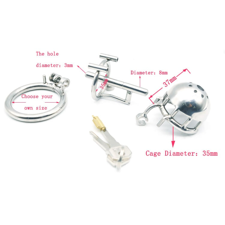 Stainless Steel Male Dual Use PA Chastity Device