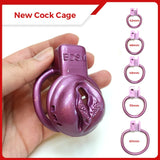 Male Small Pussy Chastity Cage