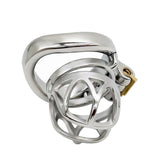 Curved Stainless Steel Cage