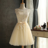 Solid A-Line Sleeveless Bowknot Lace Dress