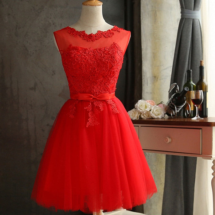 Solid A-Line Sleeveless Bowknot Lace Dress