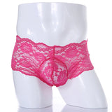 LiveLace Ultra Thin Lace Sissy Pouch Panties