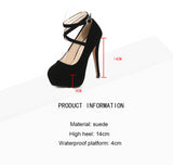 Fashion 14cm High Heel Luxury Pumps