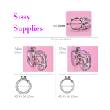 Sunstar Stainless Steel Chastity Cage