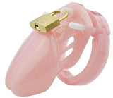 Chastity Cage With Key Holding Service